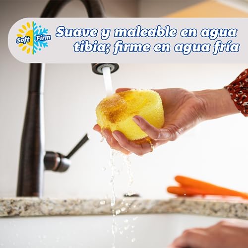 Original Scrub Daddy Sponge - Scratch Free Scrubber for Dishes and Home, Odor Resistant, Soft in Warm Water, Firm in Cold, Deep Cleaning Kitchen and Bathroom, Multi-use, Dishwasher Safe, 4ct