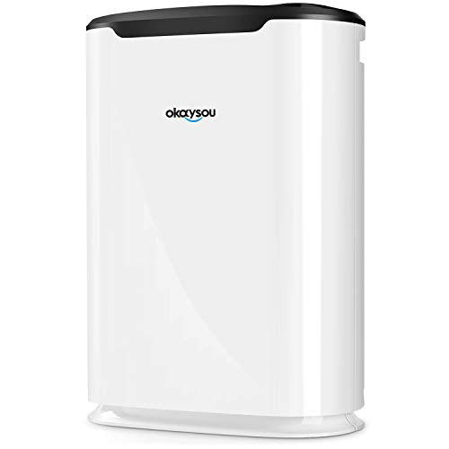 Okaysou AirMax8L 5-in-1 Large Room Air Purifier - True HEPA Filter, Eliminates Dust, Mold, Odor, VOCs, Double Filtration System